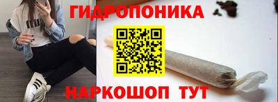 крисы Дубна