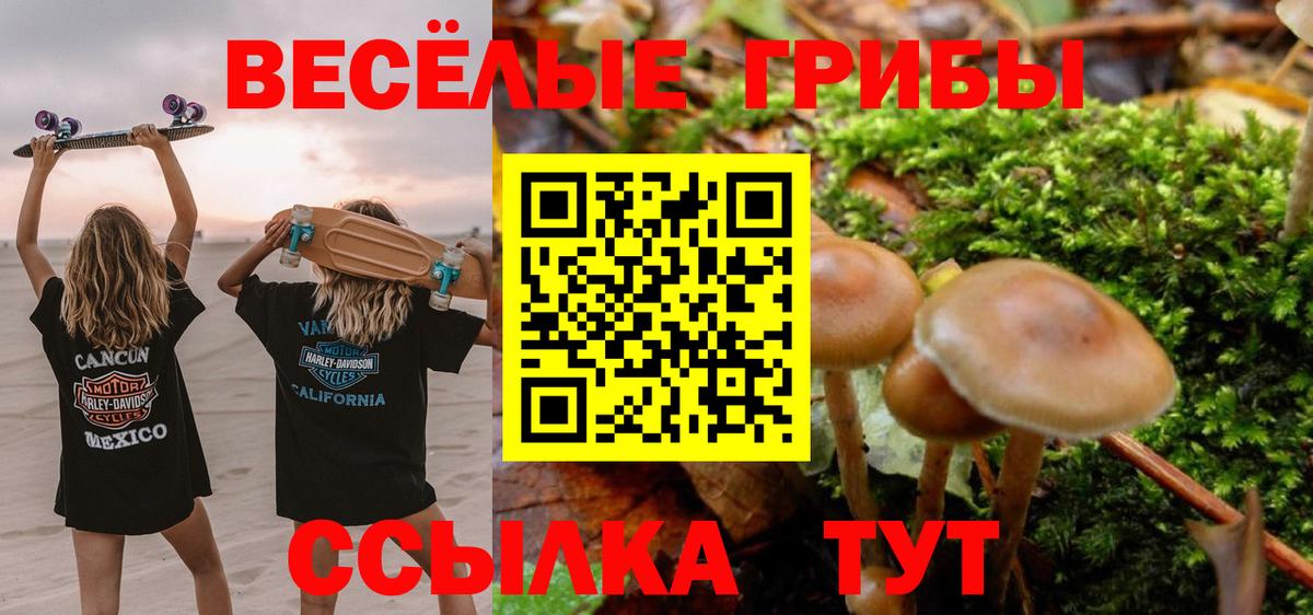 Ликино-Дулёво  Галлюциногенные грибы GOLDEN TEACHER  наркотики  Вход с VPN 