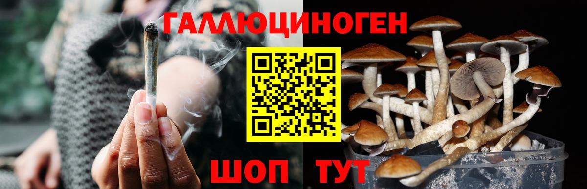 Галлюциногенные грибы прущие грибы Ликино-Дулёво